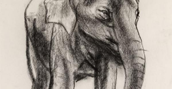 Link to Work of the Week: "Elephants Chiefly Series" by Illingworth Kerr