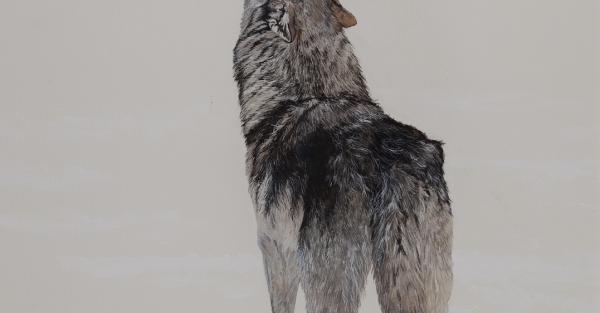 Link to Work of the Week: "Song of the Wolf" by Jeannette Northey